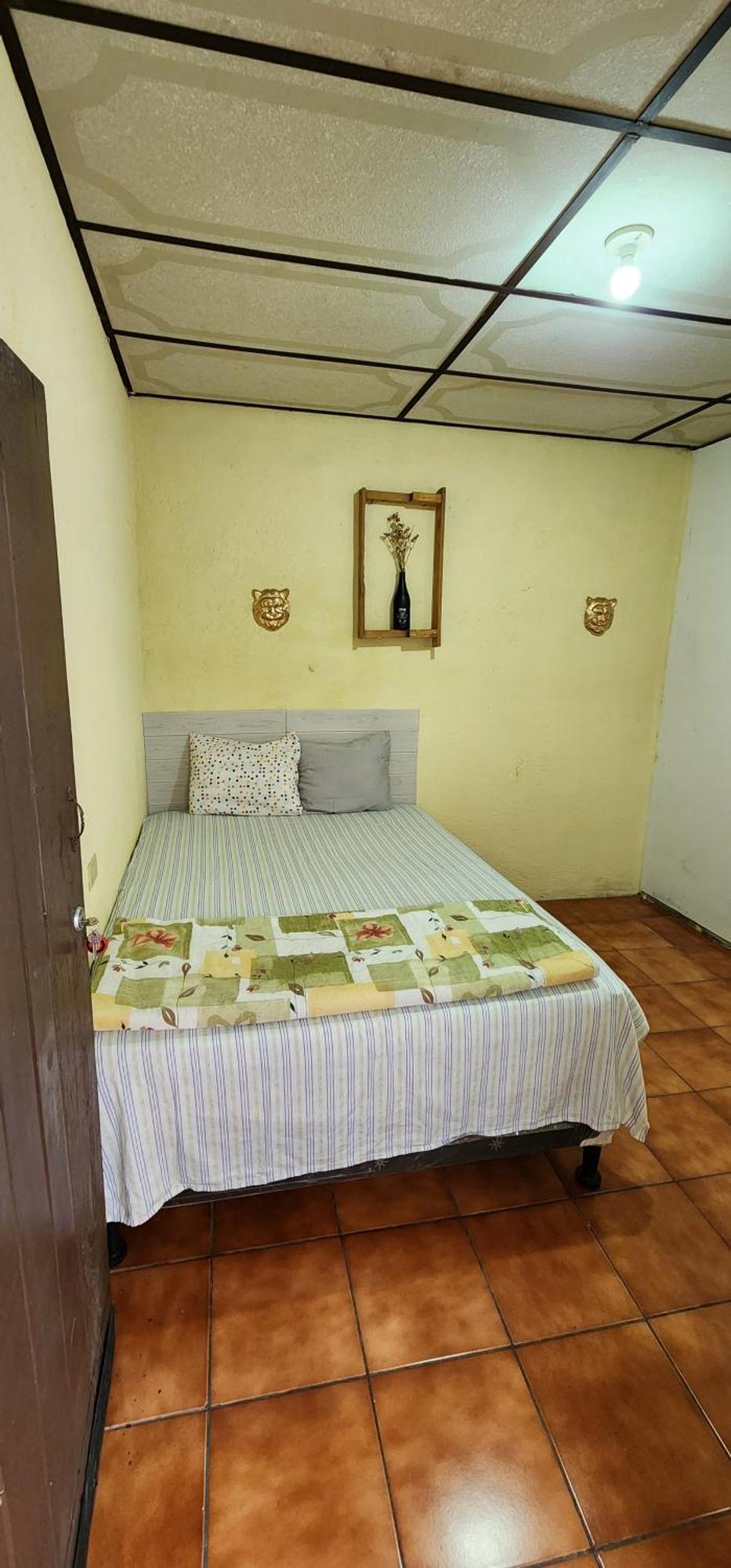 Jaguar Basic Accommodation Antigua ภายนอก รูปภาพ