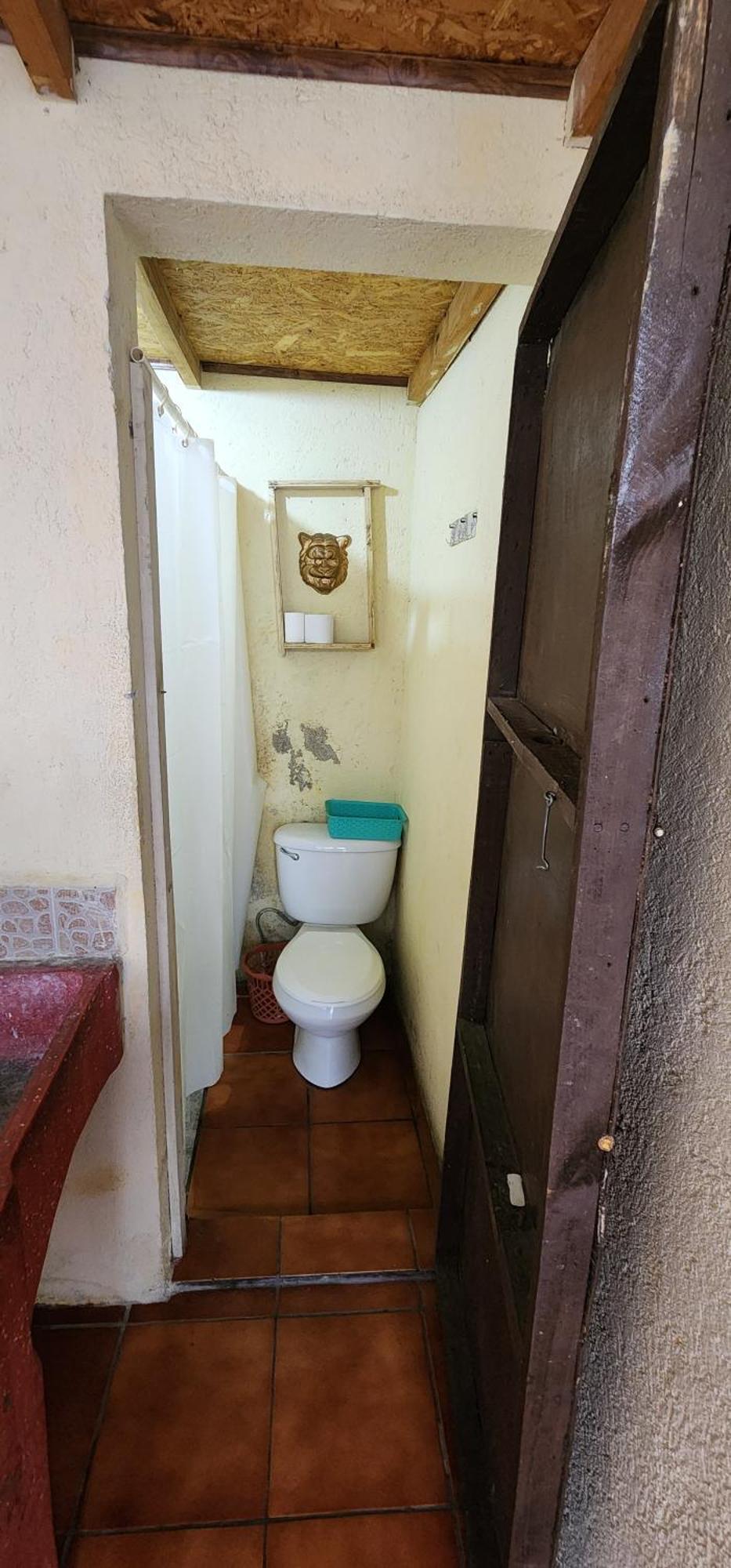 Jaguar Basic Accommodation Antigua ภายนอก รูปภาพ