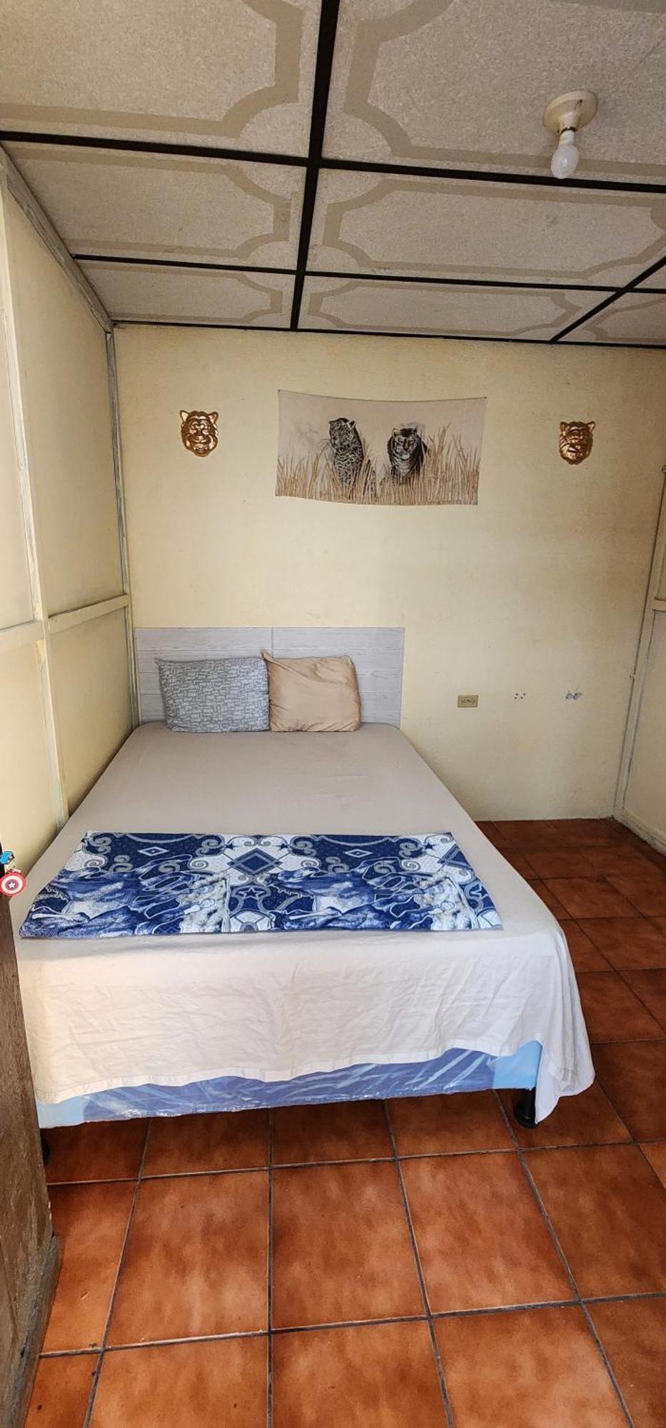 Jaguar Basic Accommodation Antigua ภายนอก รูปภาพ